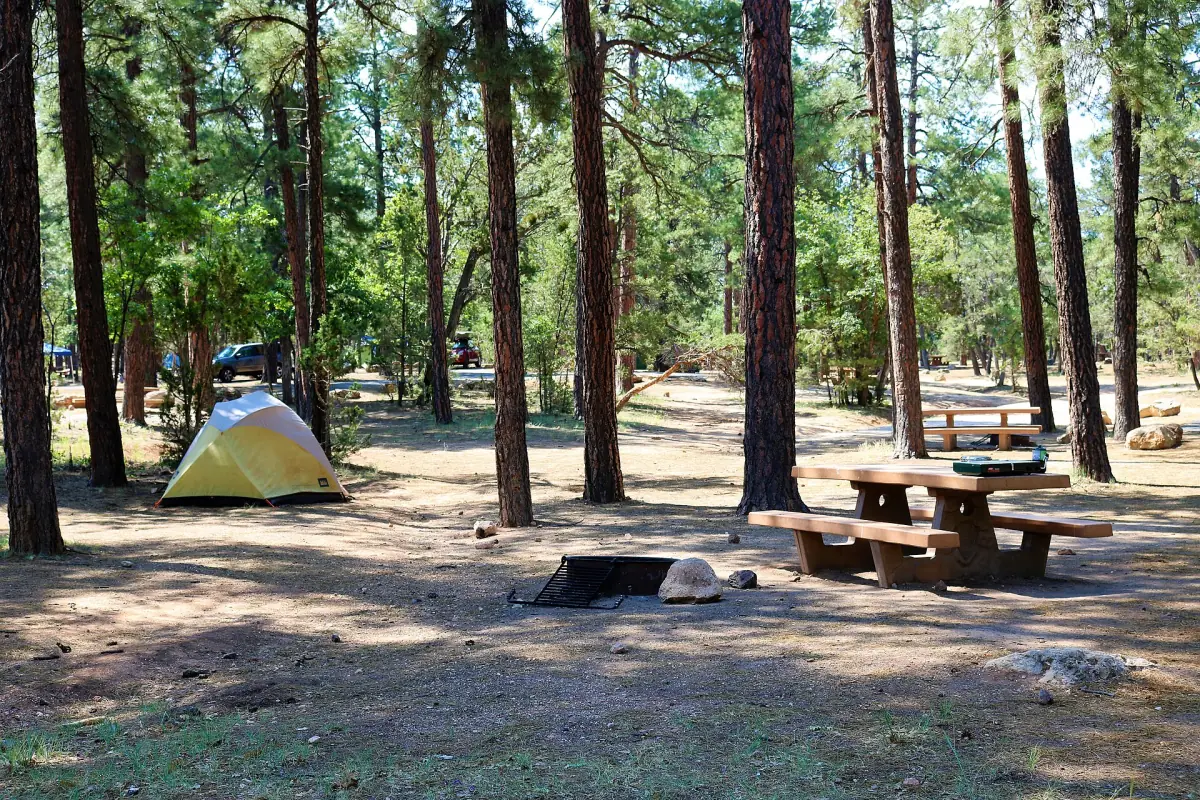 A tent site at Mather Campground